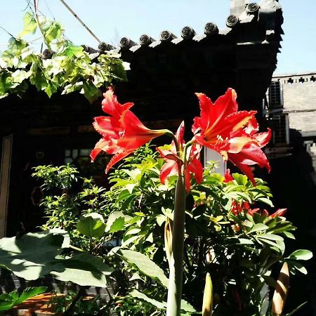 Pingyao Tian Yi Hostel Eksteriør bilde